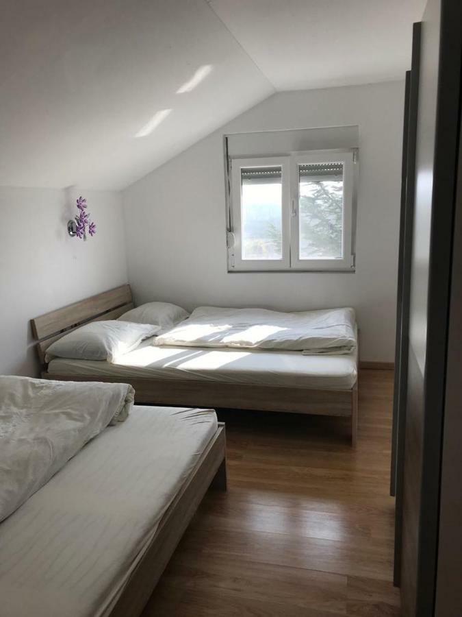 Apartmani Livk Debeljak Экстерьер фото